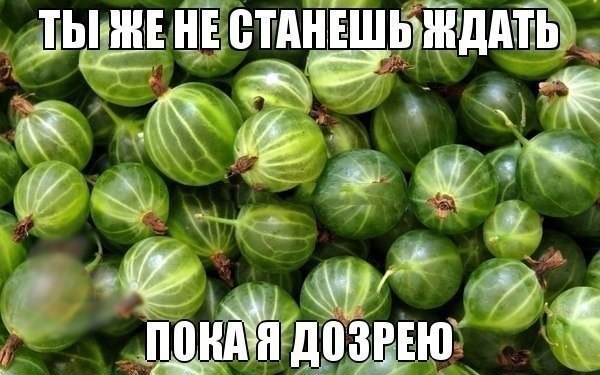 ☆   ☆ - 14  2015  12:12