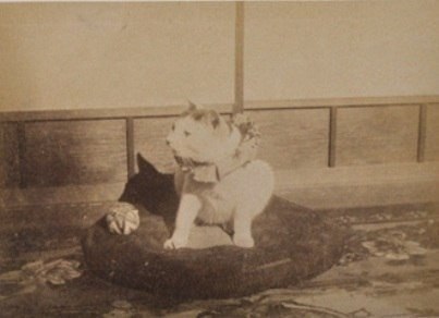    -     Puss,    1939  -  ...