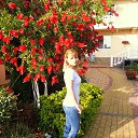 ����� �� ������� ���� ����������