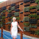  ,   -  15  2015   ,  2015  