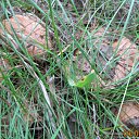  , -- -  9  2015    2015