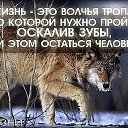 ���� ������, ��������������, 54 ���� - ��������� 21 ������� 2015 � ������ ������ ��������