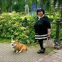  , -, 66  -  25  2015    