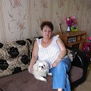 ���� ����������, ������, 73 ���� - ��������� 23 ���� 2015 � ������ ���� ����������