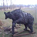 ���� �����, �����������, 41 ��� - ��������� 3 ��� 2015 � ������ ���� ����������