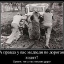  ,  -  28  2015       .