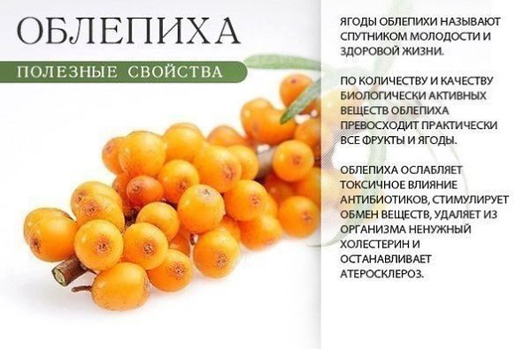 Забери себе на стену полезные оранжевые фрукты, овощи и ягоды)) - 3