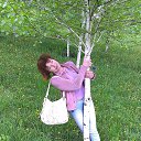 ���� �������, ������ - ��������� 7 ��� 2015 � ������ ���� ����������