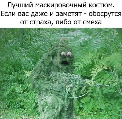   | , ,  - 23  2015  07:05
