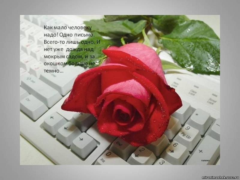 Как мало все же человеку надо! Одно письмо. Всего-то лишь одно. И нет уже дождя над мокрым садом, И ...