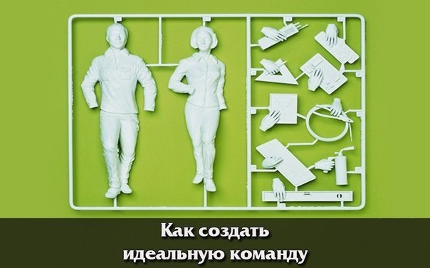 Как создать идеальную команду.Психолог-консультант Юлия Бурлакова делится советами о том, как ...