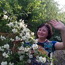 ���� ����, ���������, 71 ��� - ��������� 14 ���� 2015 � ������ ���� ����������