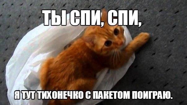  -  - 3  2015  04:20