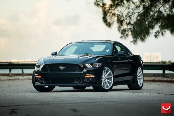 Ford Mustang GT 5.0