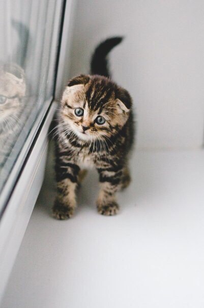 �������� ����������� ����� - 18 ���� 2015 � 03:10