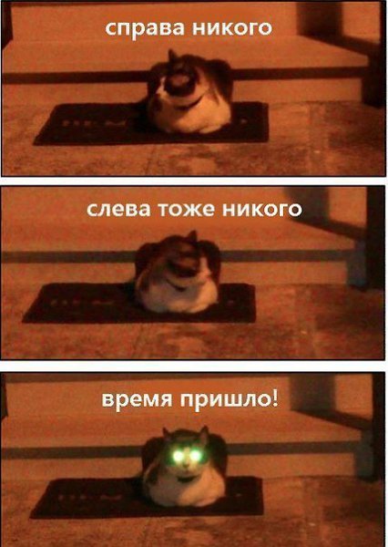 Memes&Streams - 30 ��� 2015 � 17:05