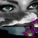 ���� ���������, �����, 52 ���� - ��������� 16 ���� 2015 � ������ ���� ����������