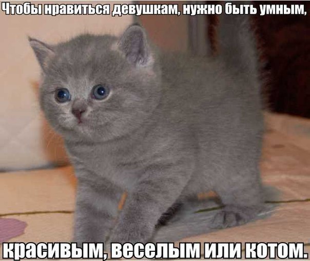       - 10  2015  22:06