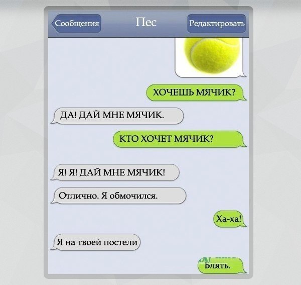   - 10  2015  10:03 - 6