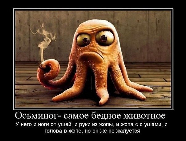   - 1  2015  15:04