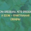  , , 49  -  9  2015    