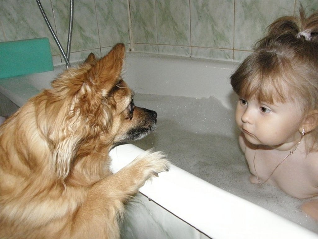 Собака пришла в гости. Дети и собаки смешное. Собака не хочет мыться. Собаки и дети приколы. Смешные подписи к фото.