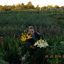 ���� �����, ��������� - ��������� 19 ���� 2015 � ������ ���� ����������