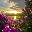 ���� ����, ����, 56 ��� - ��������� 8 ���� 2015 � ������ ������ ��������