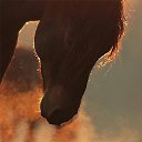 ���� Vladimip, �����������, 60 ��� - ��������� 29 ���� 2015 � ������ ������ ��������