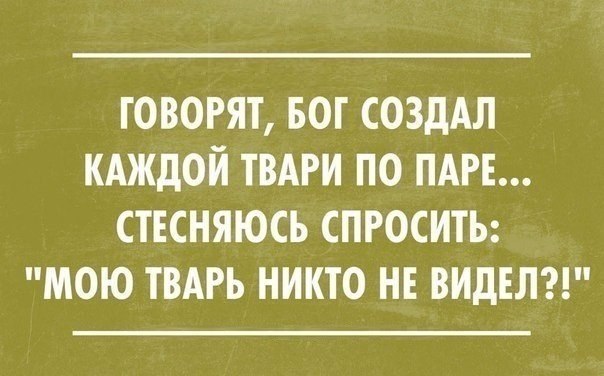    |   - 8  2015  19:34
