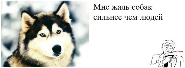 ? ,  ! - 27  2015  11:54