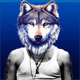 Guja, �������, 47 ���