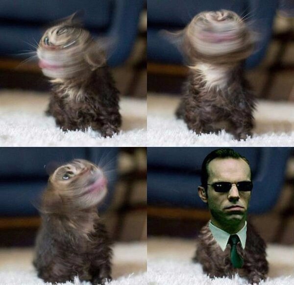  ,  .