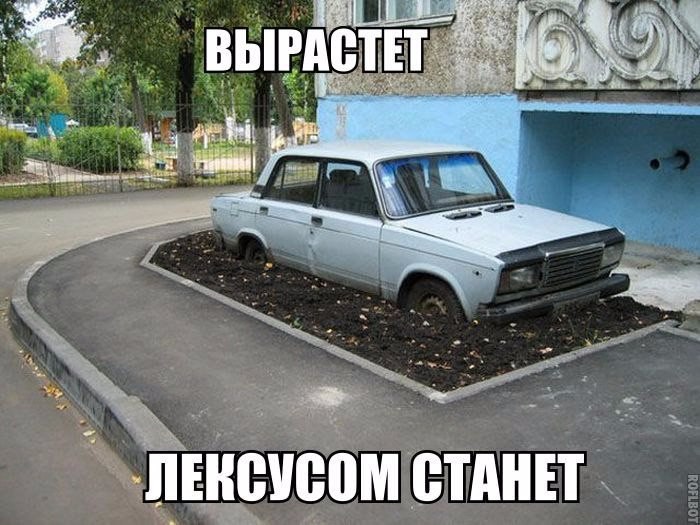    - 19  2015  21:35