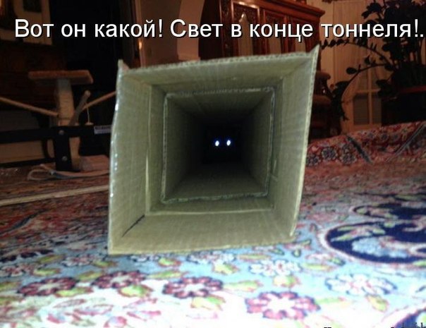   - 2  2015  11:17