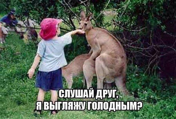    :-) - 5  2015  06:40