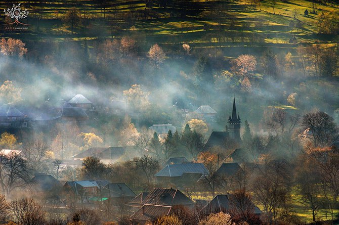   .    (Alex Robciuc)   .  ... - 3