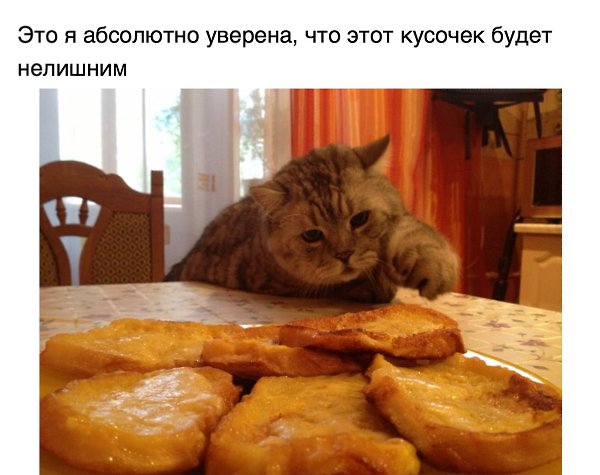  ,    . - 14