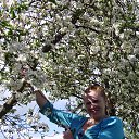  , -, 47  -  23  2015    