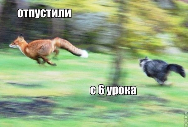 ? ,  ! - 7  2015  21:55