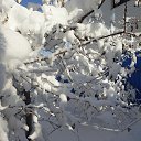 ���� �������, ������ - ��������� 20 ������� 2015 � ������ ���� ����������