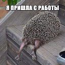 ���� ��������, ������ - ��������� 17 ���� 2015 � ������ ������ ��������