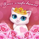 ���� ��������, �����-��������� - ��������� 28 ���� 2015 � ������ �������� ��������