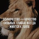 ���� ����, �������, 45 ��� - ��������� 12 ��� 2015 � ������ ������ ��������