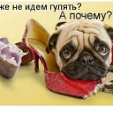  ,  -  9  2015