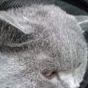 ���� �����, ��������, 53 ���� - ��������� 25 ���� 2015 � ������ ���������� ������