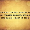 ���� �����, �����, 48 ��� - ��������� 24 ���� 2015 � ������ ������ ��������