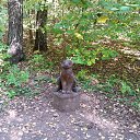 ���� �����, ������, 54 ���� - ��������� 19 �������� 2015 � ������ ��������