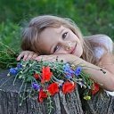 ���� �����, ������ - ��������� 1 ���� 2015 � ������ ������ ��������