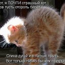  ,  -  6  2015   )))